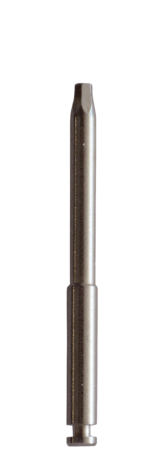 Prio Plus Tornillo de repuesto para abutments