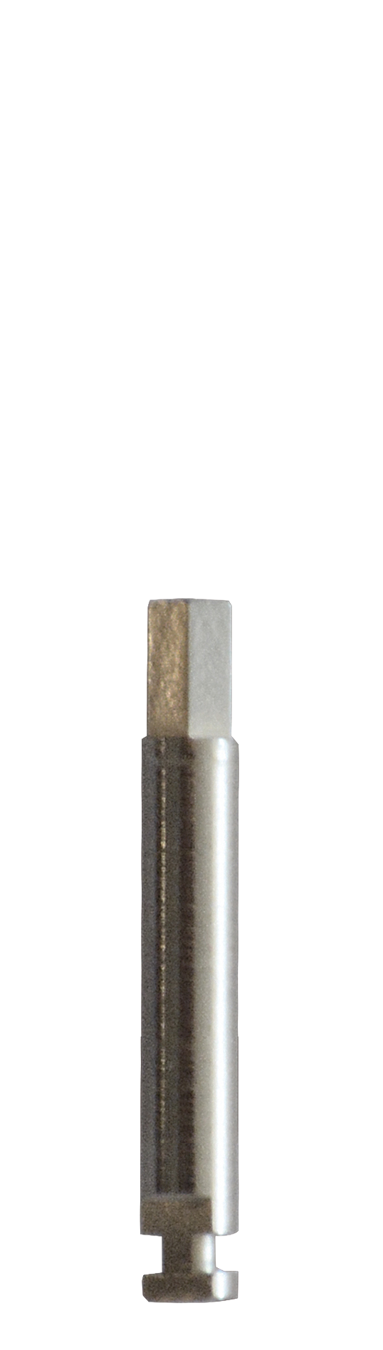 Prio Plus Tornillo de repuesto para abutments