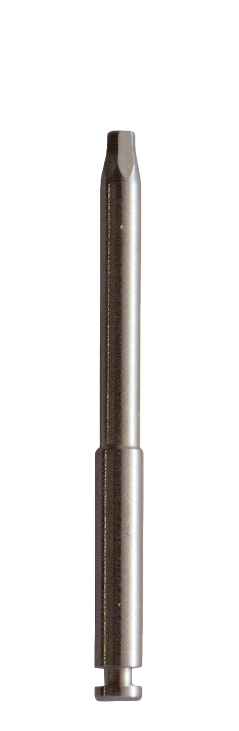 Prio Plus Tornillo de repuesto para abutments
